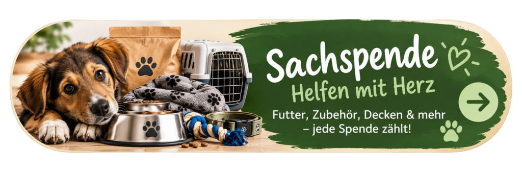 sachspende button website