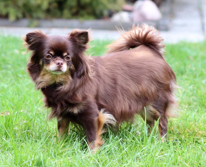 Bella