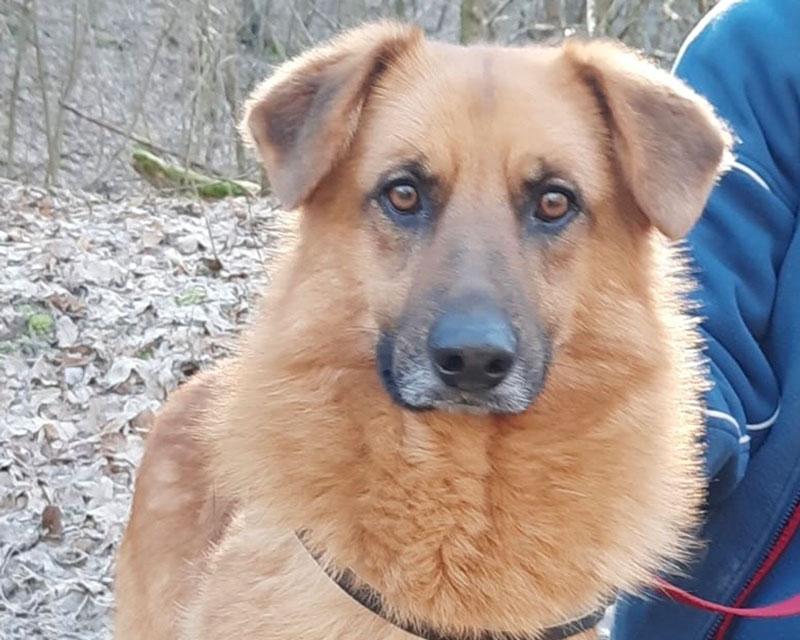 Bonnie