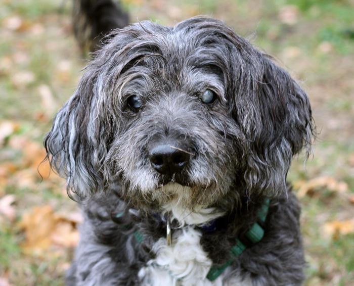 Coco