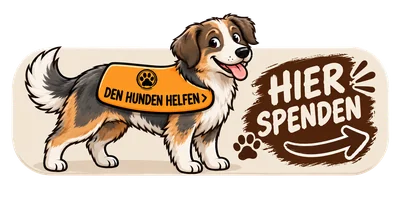 Hier spenden – Hundenothilfe OWL