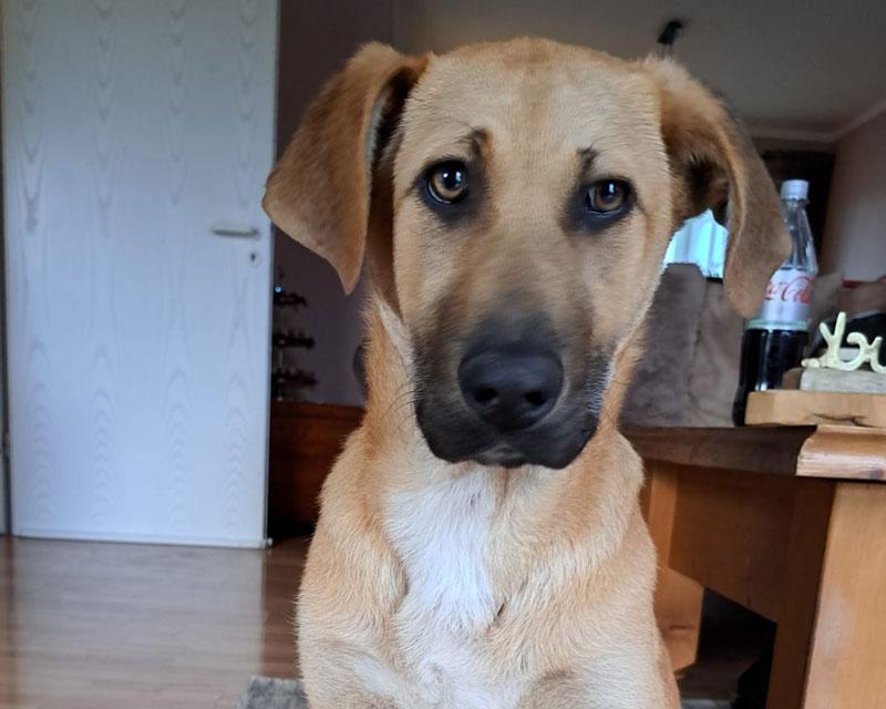Duncan