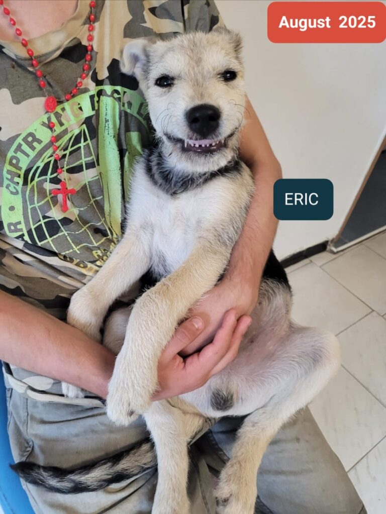 eric 3
