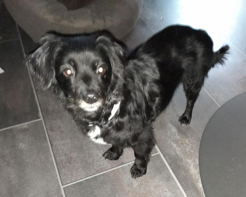 Finja