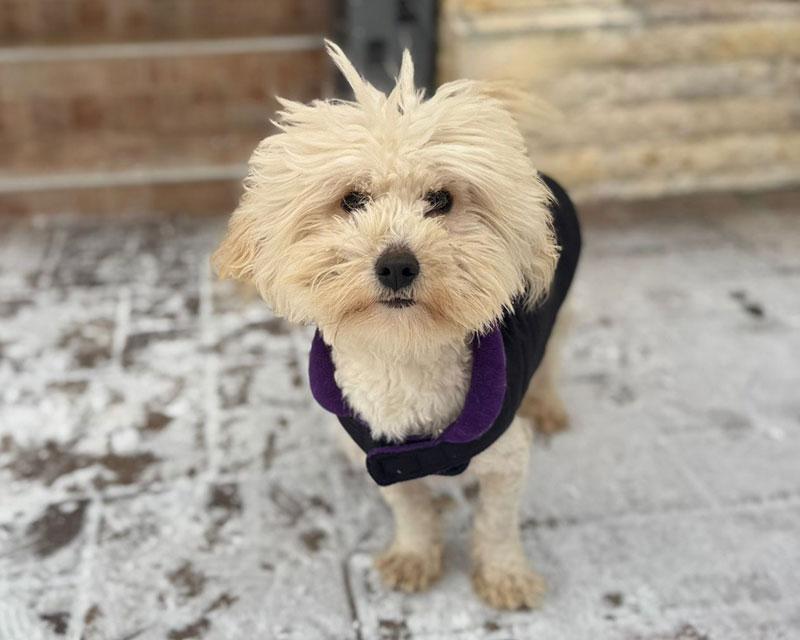 Freddie