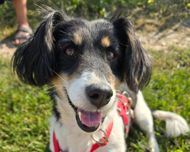 Gina