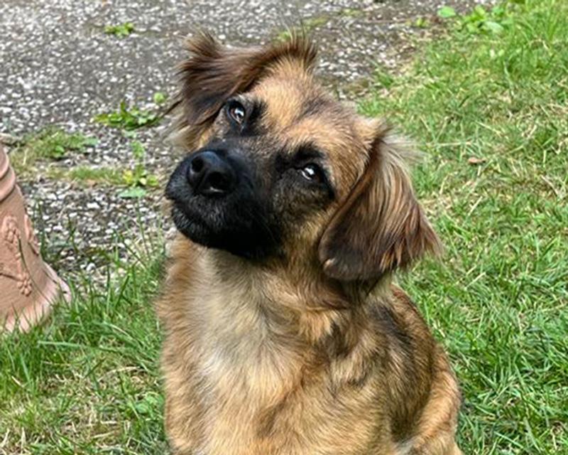 Inka