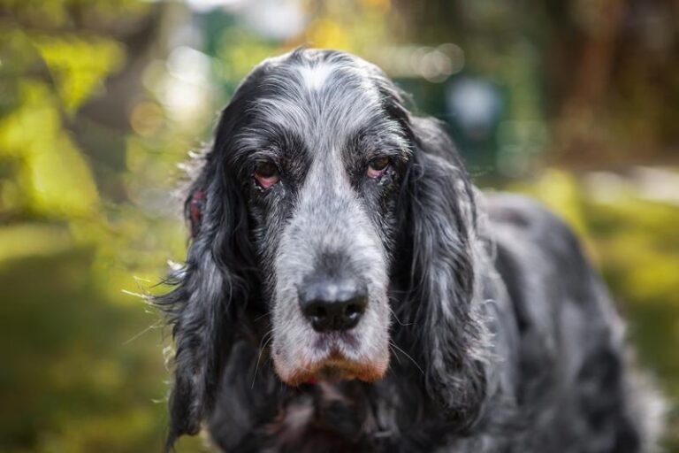lola – erinnerungsbild 2