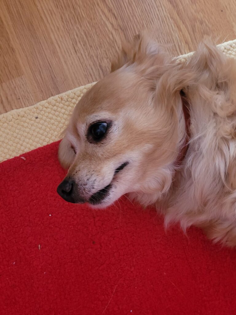 Luka