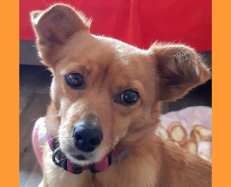 Margo
