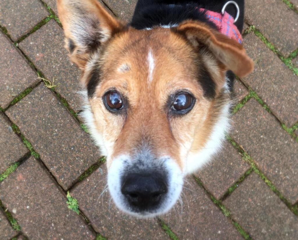 Max