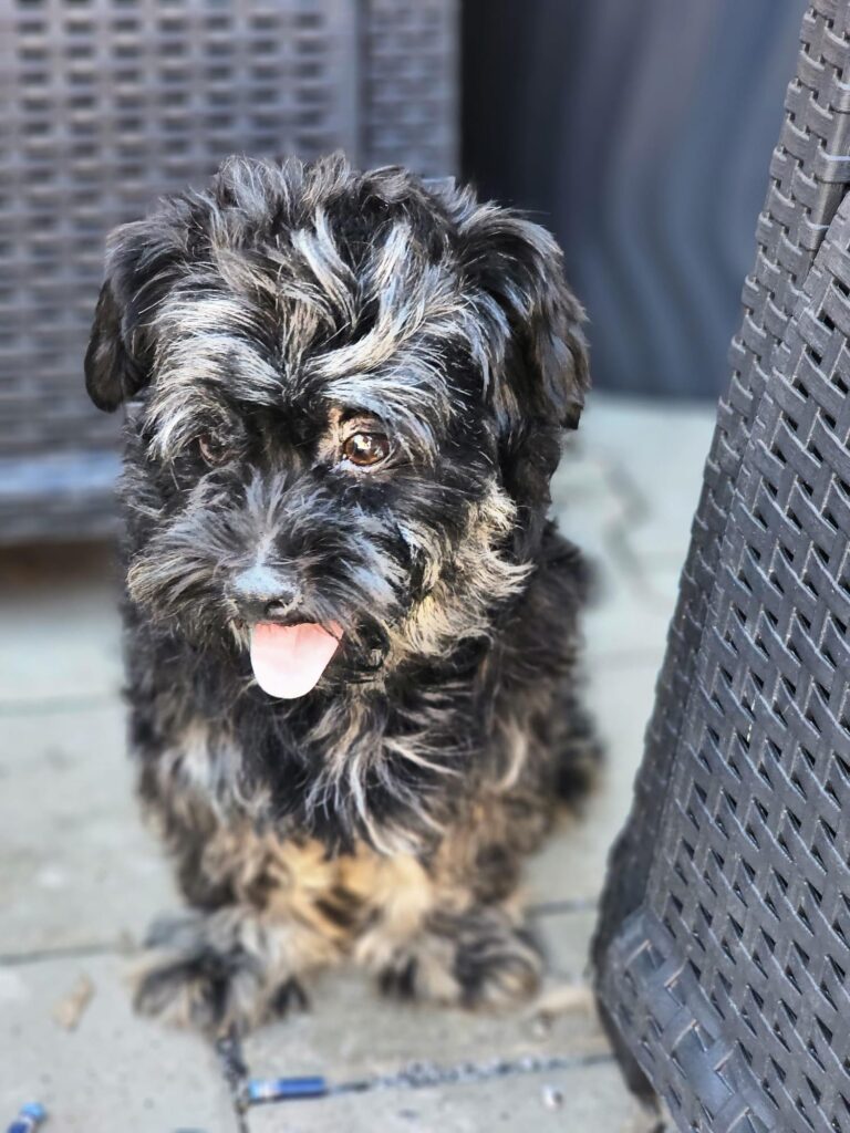 Moritz