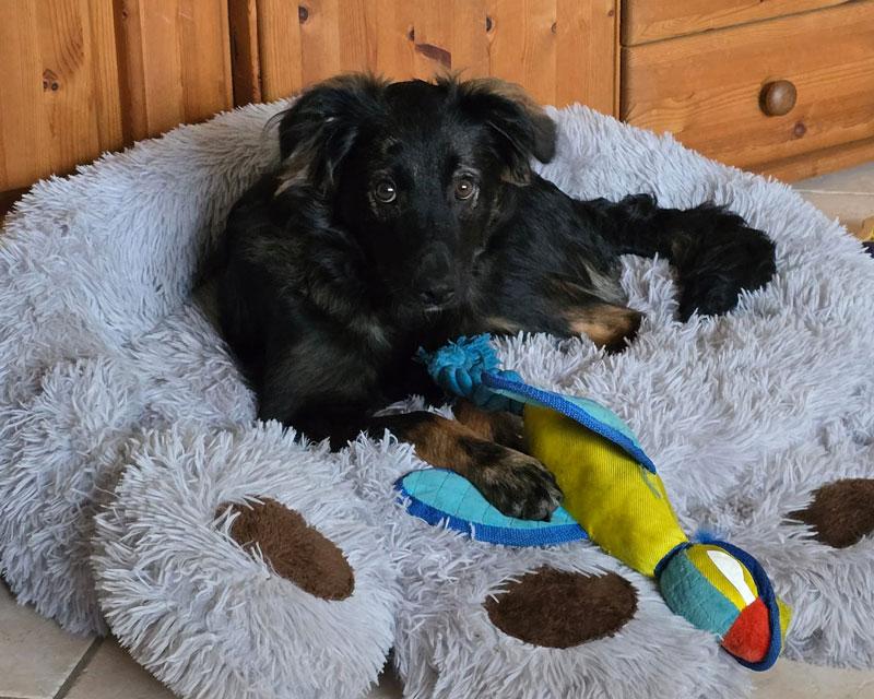 Sammy