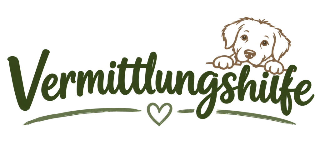 vermittlungshilfe trans