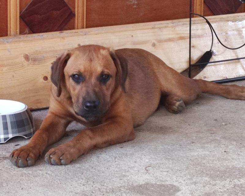 Axel