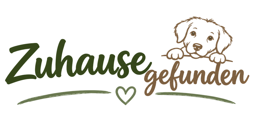 zuhause gefunden transp