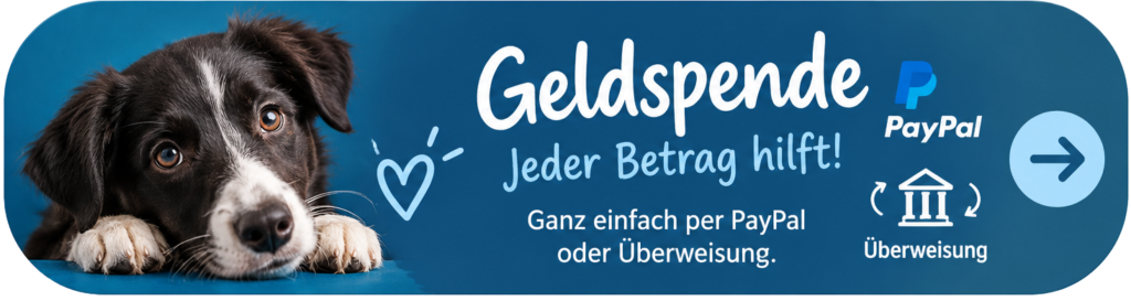 geldspende button
