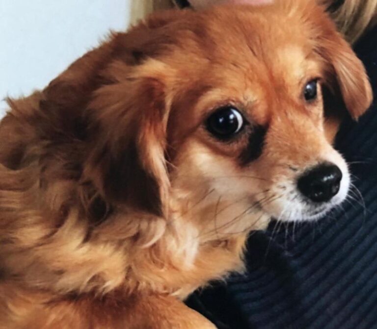 mimi6